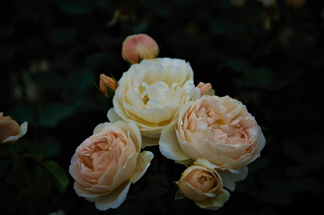 Jak zlepšit vztahy? 10 tipů pro harmonický a šťastný partnerský život