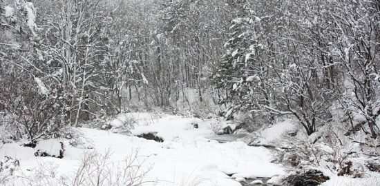 Účinné rady proti nachlazení