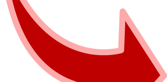 Kompletní průvodce pěstováním květin v Češtině