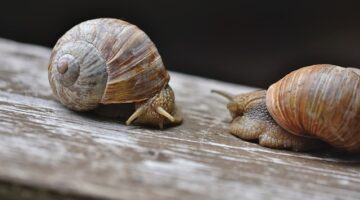 Tipy na útulné bydlení