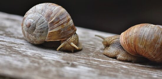 Tipy na útulné bydlení