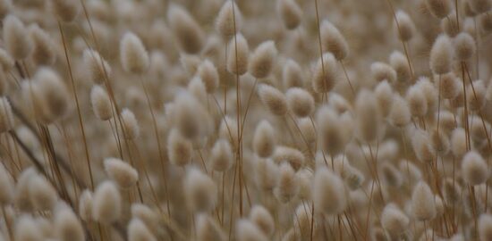 Tipy a návody pro tvůrčí nápady: Udělej si sám originální dekorace