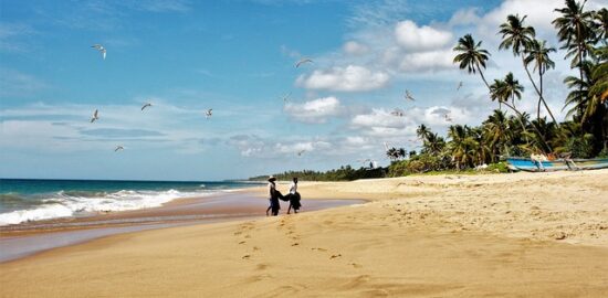 Rozsáhlý průvodce bylinkami: inspirujte se, jak udělat, rady, recenze a tipy