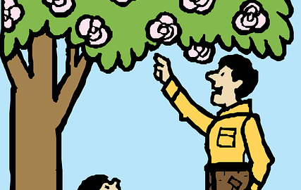 Jak vybrat vhodnou květinu pro váš domov