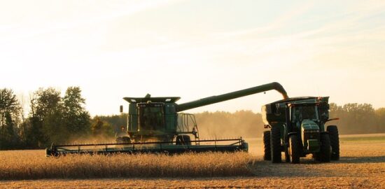 Jak vybrat správný květináč pro vaše pokojové rostliny