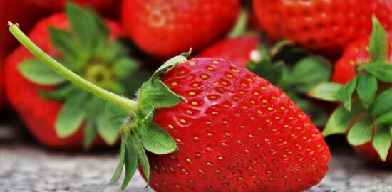 Zdravé a vyvážené stravování: Co by měl jídelníček obsahovat?