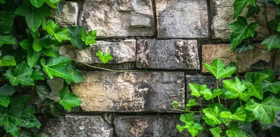 Jak si postavit dřevěný domek pro svého hlodavce