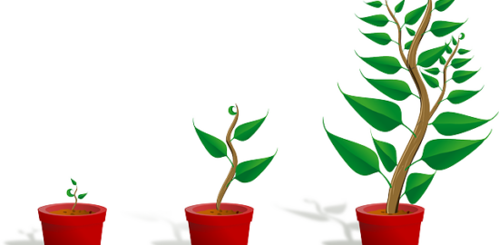 Květináč: Inspirace pro skvosty do bytu