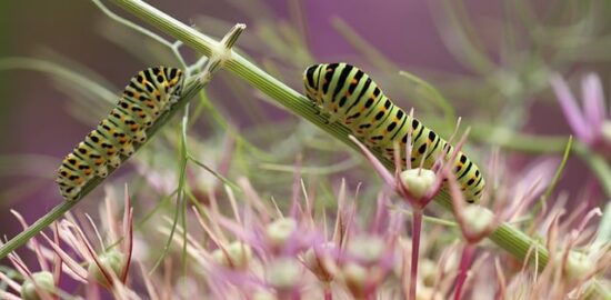 Jak se vyhnout stresu a zlepšit své duševní zdraví