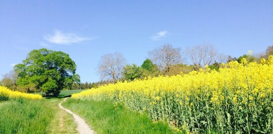 Jak si účinně zařídit malý byt pro maximální komfort