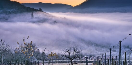 Městské zahrádkářství: Odpočinek a relaxace v srdci města