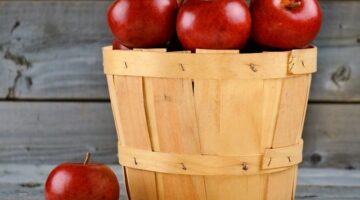 Jak vybrat nejúspornější spotřebiče pro vaši domácnost