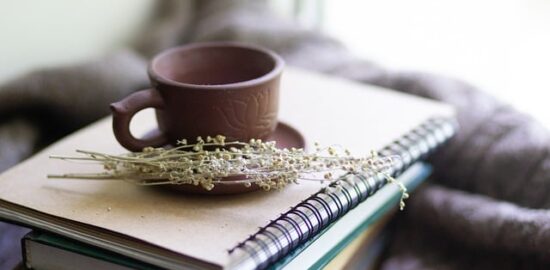 Odhalte kouzlo vlastního akvária: inspirace pro začátečníky