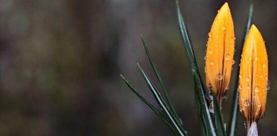 5 kroků pro vytvoření originálního bytového dekoru svépomocí