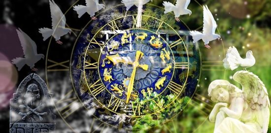 Jak rozpoznat zdravý strom a co dělat, když není