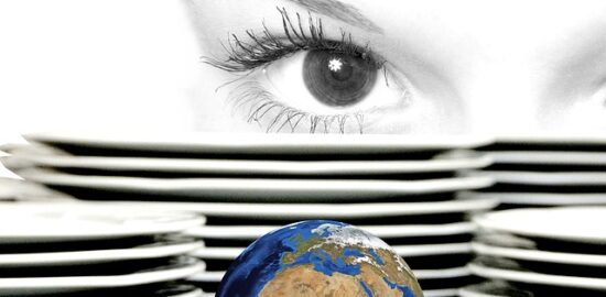 Jak rozpoznat strom podle listů a kůry: Praktický průvodce