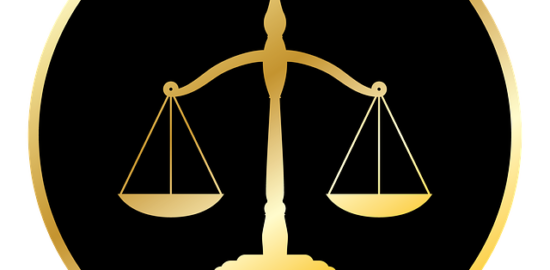 Jak správně pěstovat orchideje: Průvodce pro začátečníky