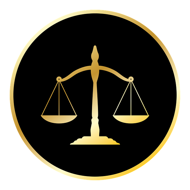 Jak správně pěstovat orchideje: Průvodce pro začátečníky