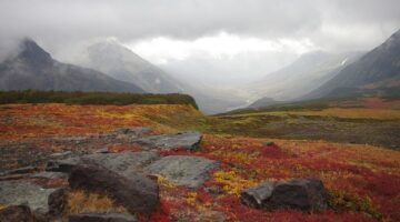 Jak zařídit malý byt, aby působil prostorně a útulně
