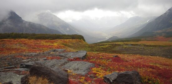 Jak zařídit malý byt, aby působil prostorně a útulně