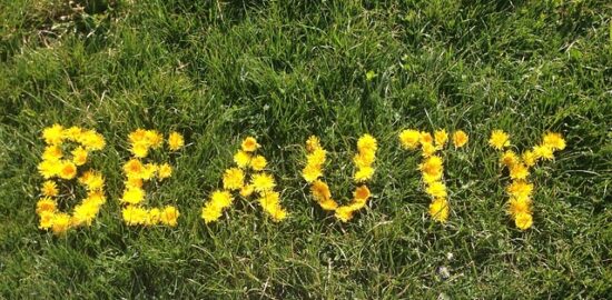 Jak účinně uklízet: tajemství bezprašné domácnosti