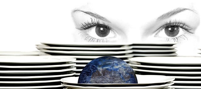 Jak rozpoznat strom podle tvaru a barvy listů