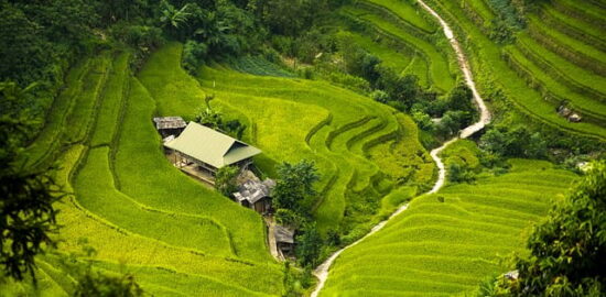 Krok za krokem: Jak si doma vyrobit vlastní pivo