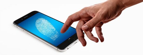 Jak rozpoznat zdravý strom a co dělat, když není v pořádku