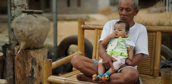 Jak správně pečovat o ovocné stromy v zahradě