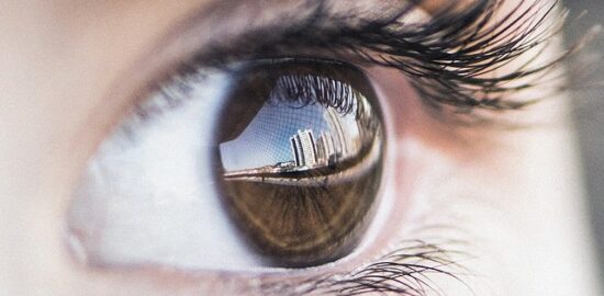 Objektivní pohled na sázení bonsaji jako koníček