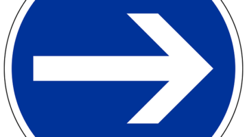 Jak správně pěstovat orchideje: Kompletní průvodce