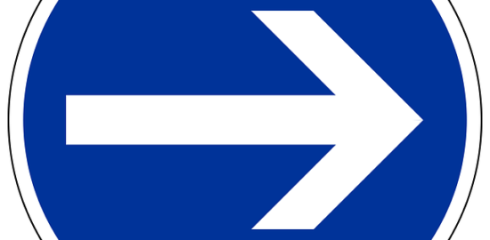 Jak správně pěstovat orchideje: Kompletní průvodce