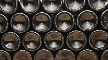 Jak správně skladovat ovoce pro zachování jeho chuti a vitamínů