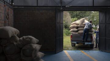 Jak správně pěstovat orchideje: Kompletní průvodce pro začátečníky