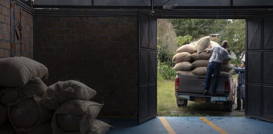 Jak správně pěstovat orchideje: Kompletní průvodce pro začátečníky