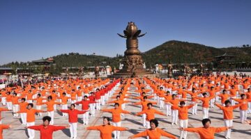 Krok za krokem: Vyrobte si vlastní zahradní altán