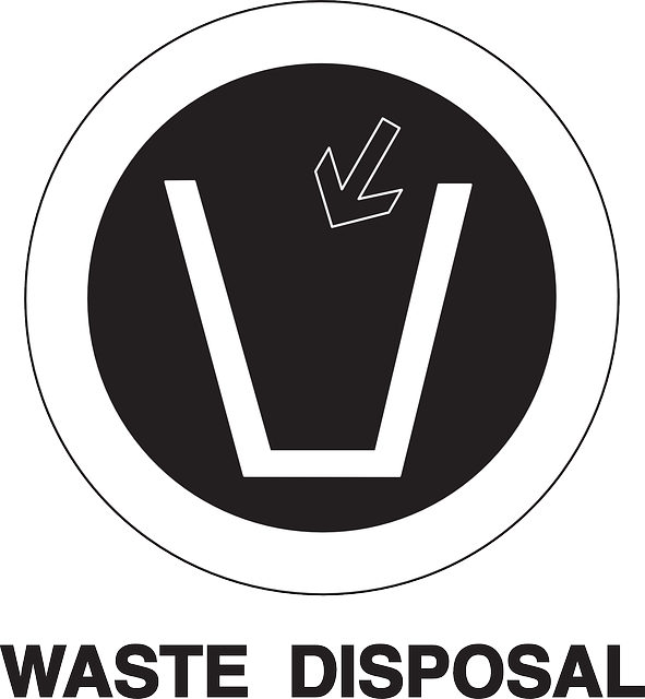 Jak správně cvičit jógu pro zdraví a pohodu těla