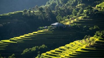 Krok za krokem: Jak si vyrobit vlastní dekorace do domu