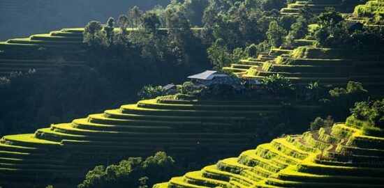 Krok za krokem: Jak si vyrobit vlastní dekorace do domu