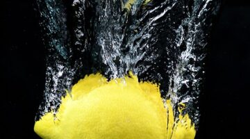 Jak se ponořit do světa modelování vláčků: úvodní průvodce