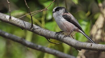 Komplexní průvodce léčbou cukrovky: od A do Z