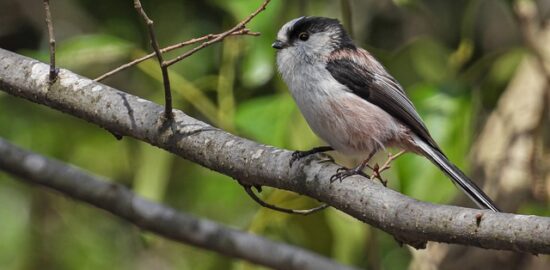 Komplexní průvodce léčbou cukrovky: od A do Z