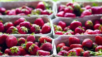 Jak si vyrobit stylový nábytek z recyklovatelných materiálů