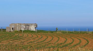 Začínáme s kutilstvím: Základní nářadí a jeho využití