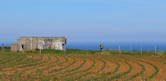 Začínáme s kutilstvím: Základní nářadí a jeho využití