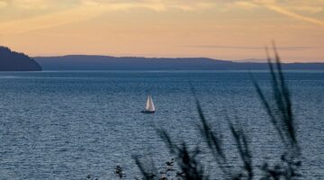 Jak se stát úspěšným filatelistou: Kompletní průvodce