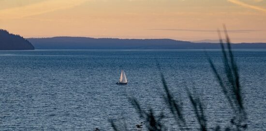 Jak se stát úspěšným filatelistou: Kompletní průvodce