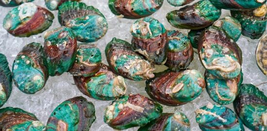 Porozumění lupénce: příčiny, příznaky a možnosti léčby