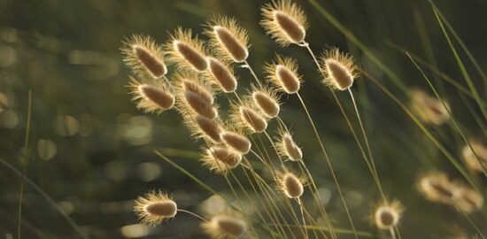 Kreativní léto: Jak si vyrobit vlastní solární pec