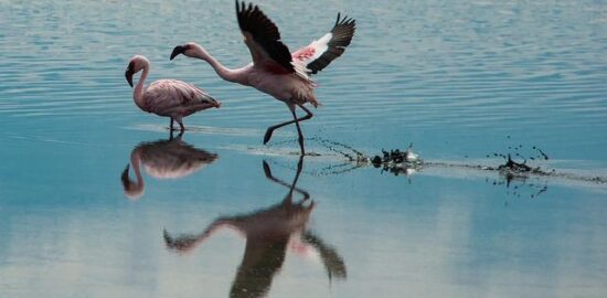 Jak začít se zahradničením: Informative rady